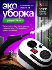 Пароочиститель