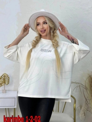 Толстовка #22677465