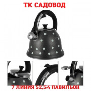 Чайник