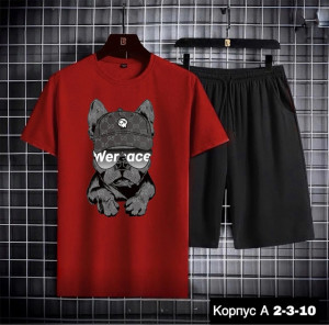Спортивный костюм #22900509