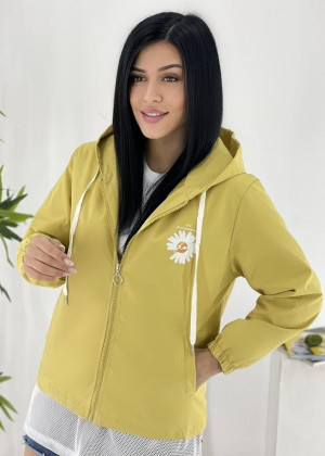 Ветровка #23149436