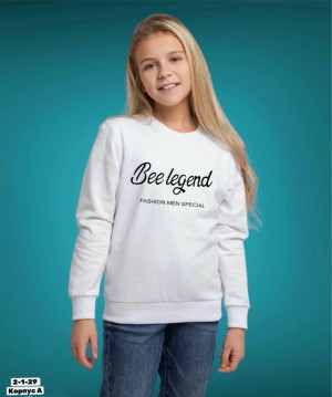 Толстовка #23209567