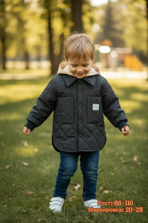 Ветровка #23210700