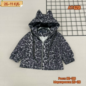 Ветровка #23211977