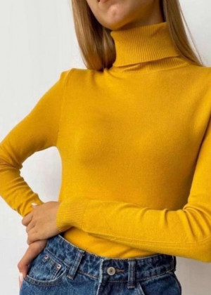 Водолазка #23240131