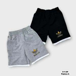 Шорты #23295184