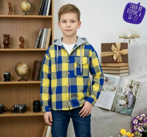 Рубашка 23301010