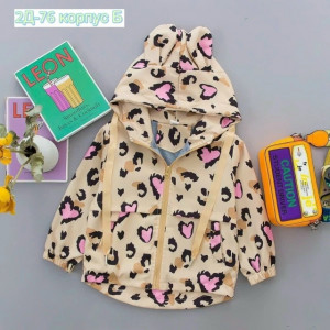 Ветровка 23309358