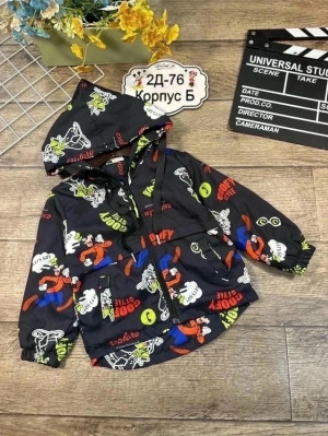 Ветровка 23325847