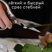 Ножницы