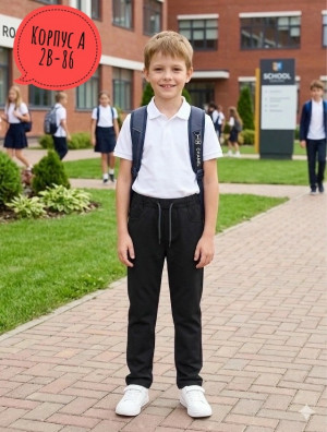 Брюки #23417843