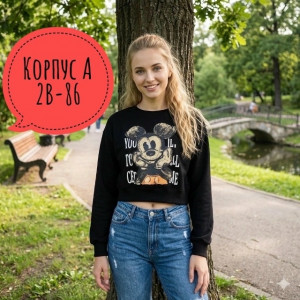 Толстовка #23486405