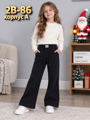 Штаны #23505789