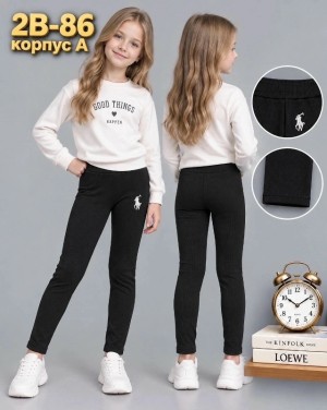 Леггинсы #23528078