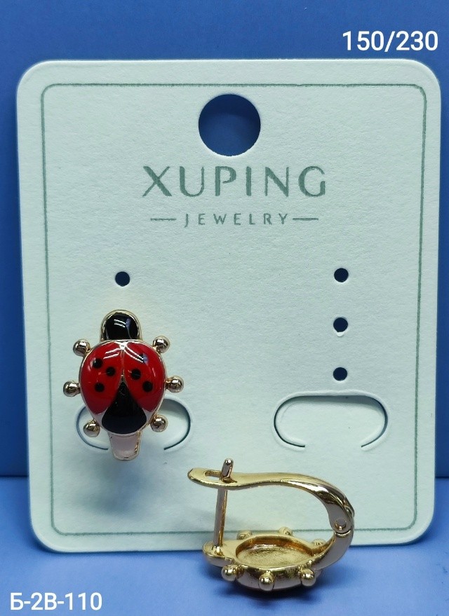 Серьги