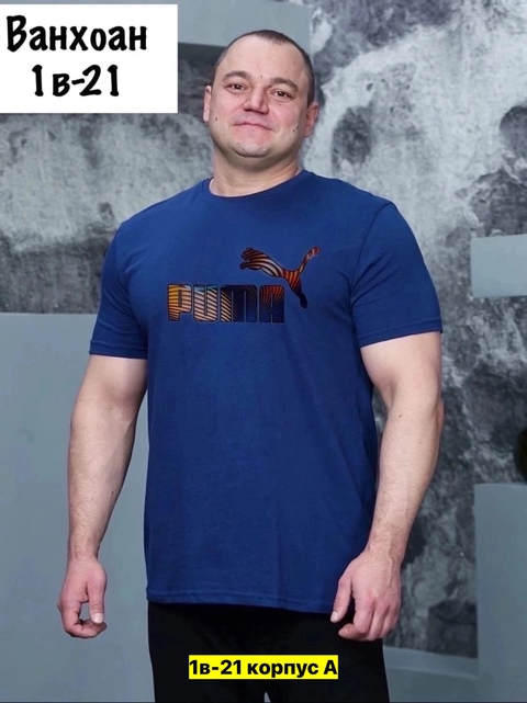 Футболка 22911216