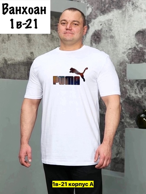 Футболка 22911216