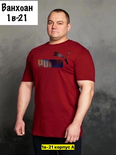 Футболка 22911216