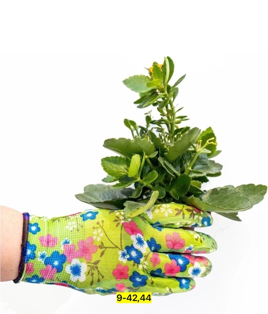 Перчатки 22935303