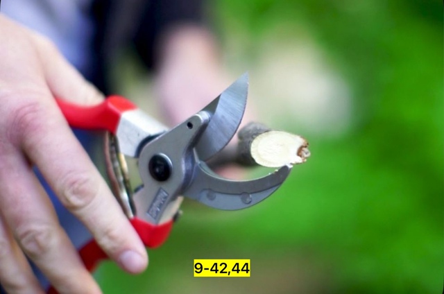 Секатор 22972739