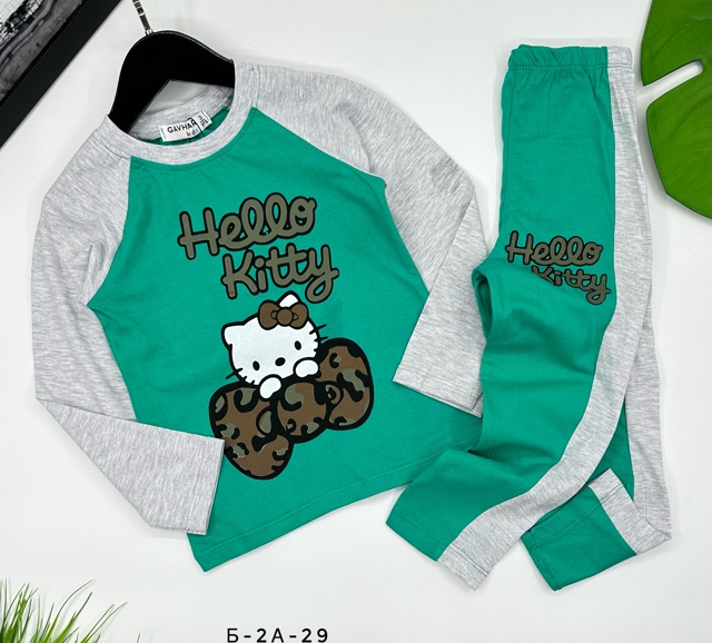 Спортивный костюм 23009366