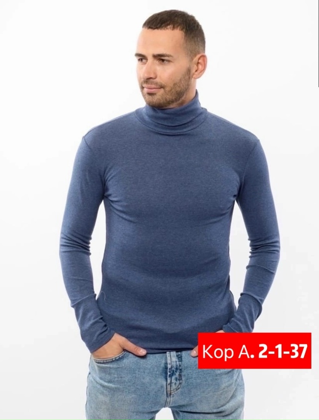 Водолазка 23073673