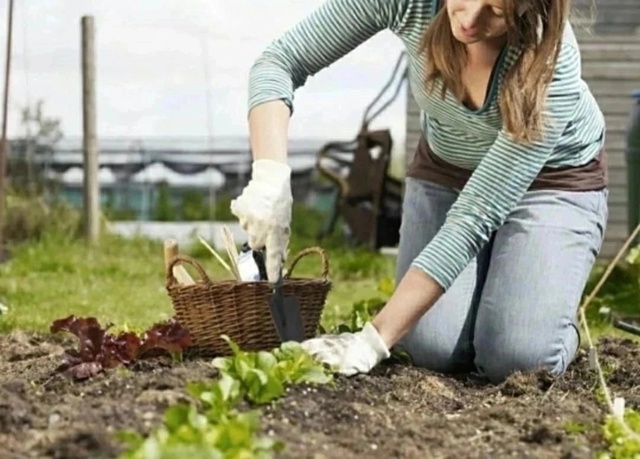 Перчатки 23120849