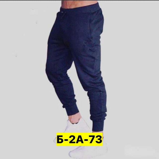 Штаны 23192822